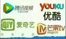 视频代理,高效内容分发背后的秘密