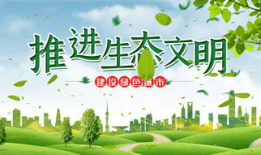 环保视频,环保视频揭示生态平衡之道